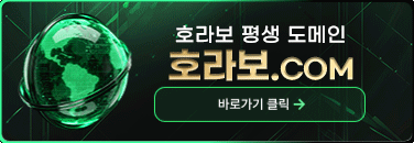 호라보 평생 도메인